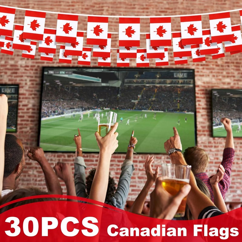 MVPRING Canada String Flag Pennant Banner, Small Mini Canadian Flags Bunting Banner, Canada Day Dominion Day National Country Decoration for School, Party, Sports Events, Patriotic Festival, 33 Feet 30 Flags - Image 5